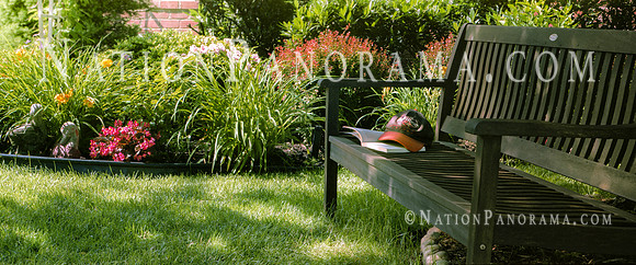 Baltimore Orioles Themed Garden Scene