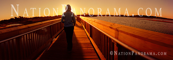 Silhouette of woman against sun