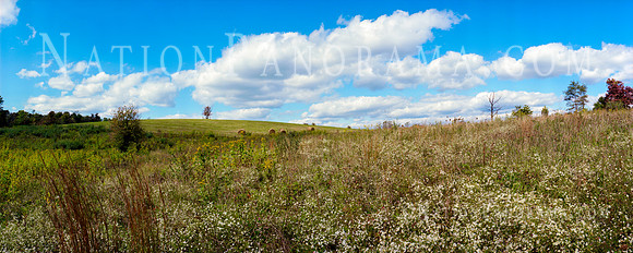 Hilly Meadow under vibrant clouds