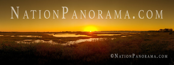 Assateague Island.