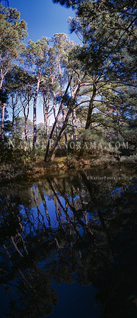 Chincoteague Island