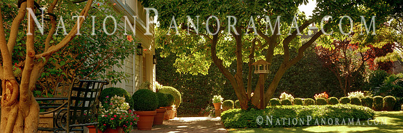 Garden at Summer