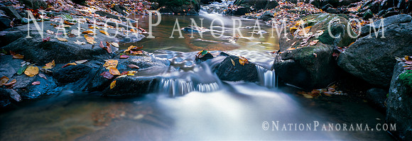 Creek at Susquehanna Park, MD