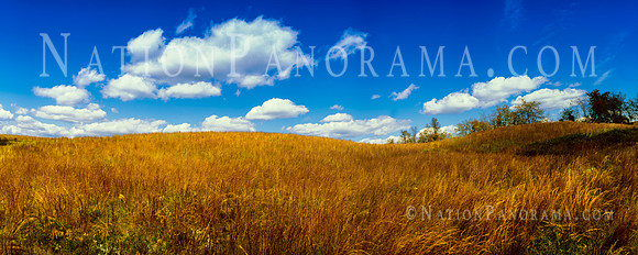 Hilly Meadow under vibrant clouds