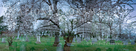Saint Paul Rock Creek Cemetery. Artistic Rendering