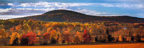 Country Scenic Foliage. Maryland
