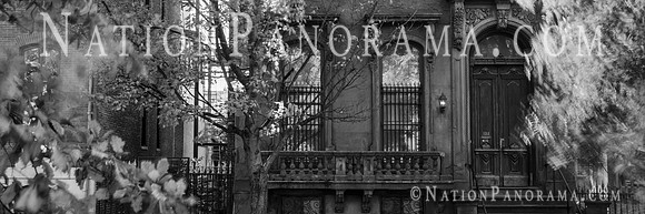 Foliage around Historic Row House