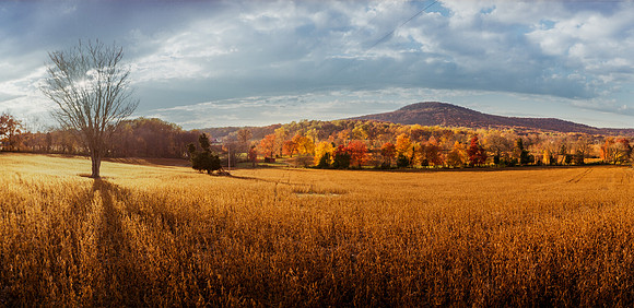 Dickerson, MD