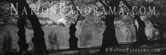 Distant View of Jefferson Memorial, Washington DC