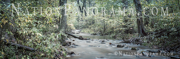 Creek in Forest, Virginia