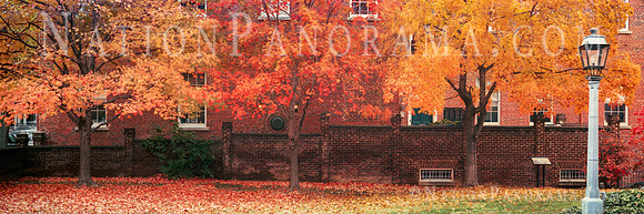 Foliage at Alexandria Old Town