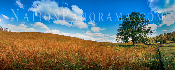 Hilly Meadow under vibrant clouds