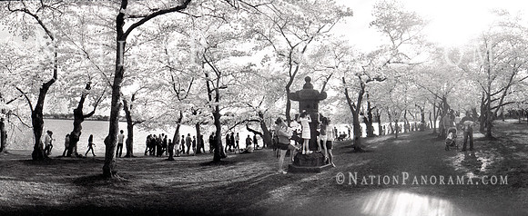 "Japanese Lantern" Washington DC