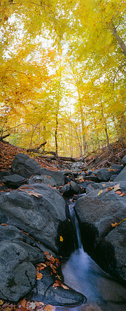 Rock Creek Park, Washington DC
