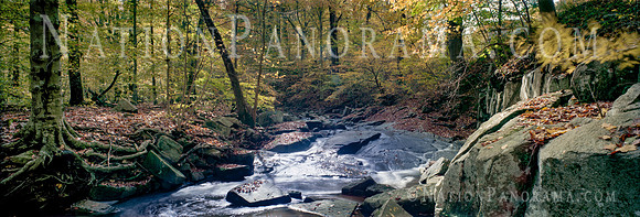 Creek at Susquehanna Park, MD
