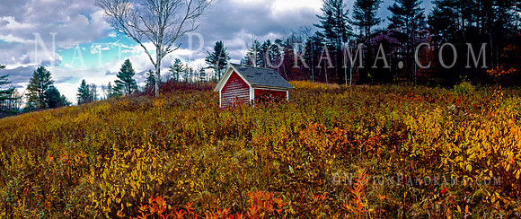 Red Shed on Hill