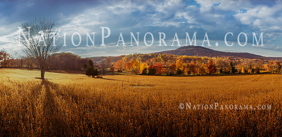 Crop Field and scenic Foliage. Maryland