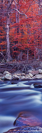 Red Foliage over river