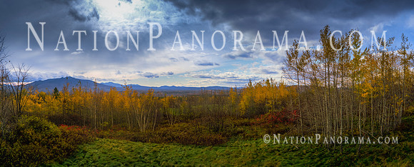 Foliage at White Mountains